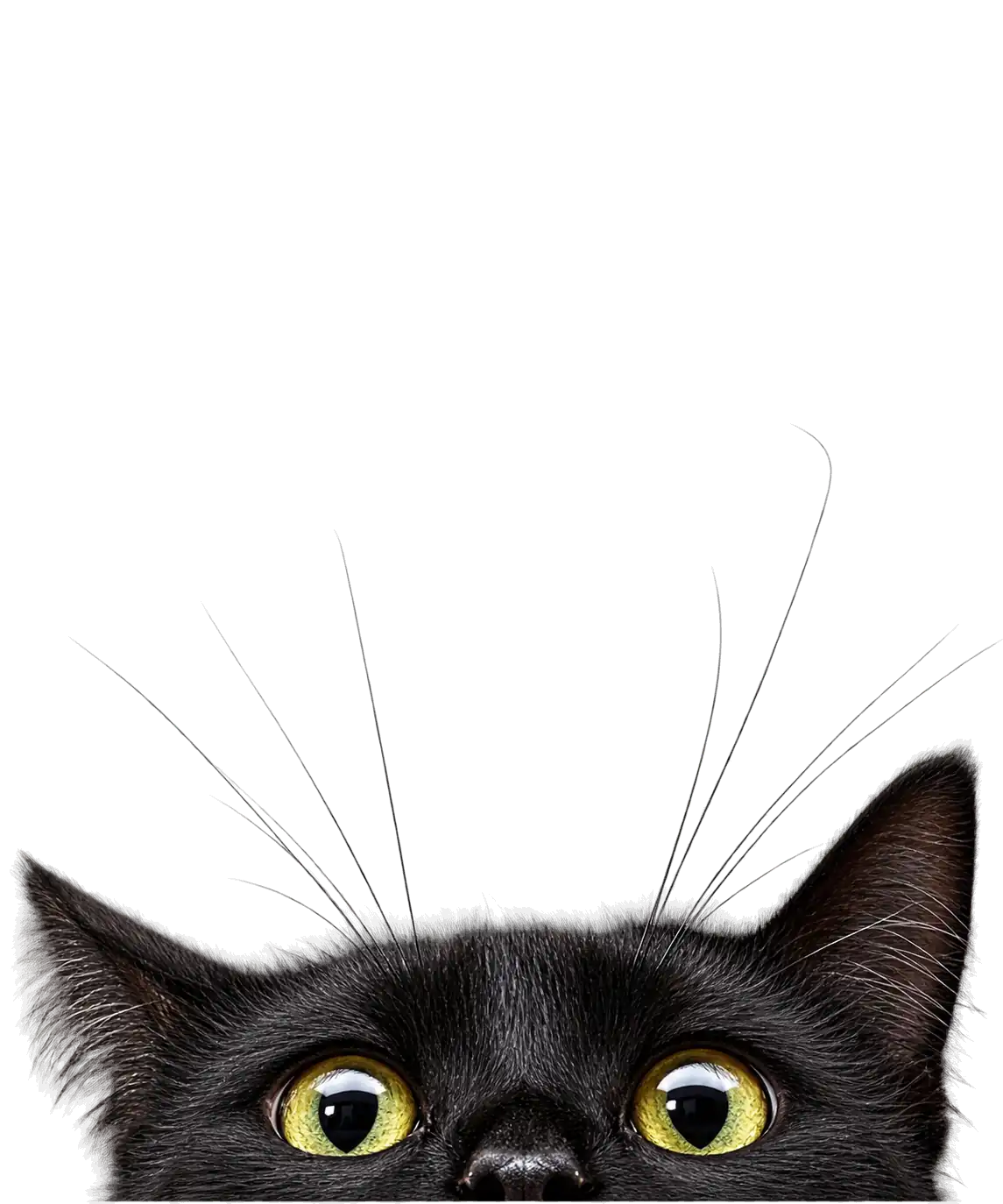 Cat receiving veterinary care